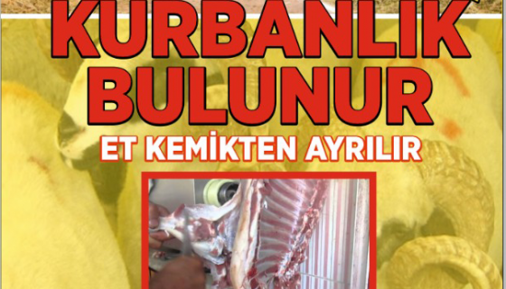 KASTAMONU KURBANLIK & ADAKLIK